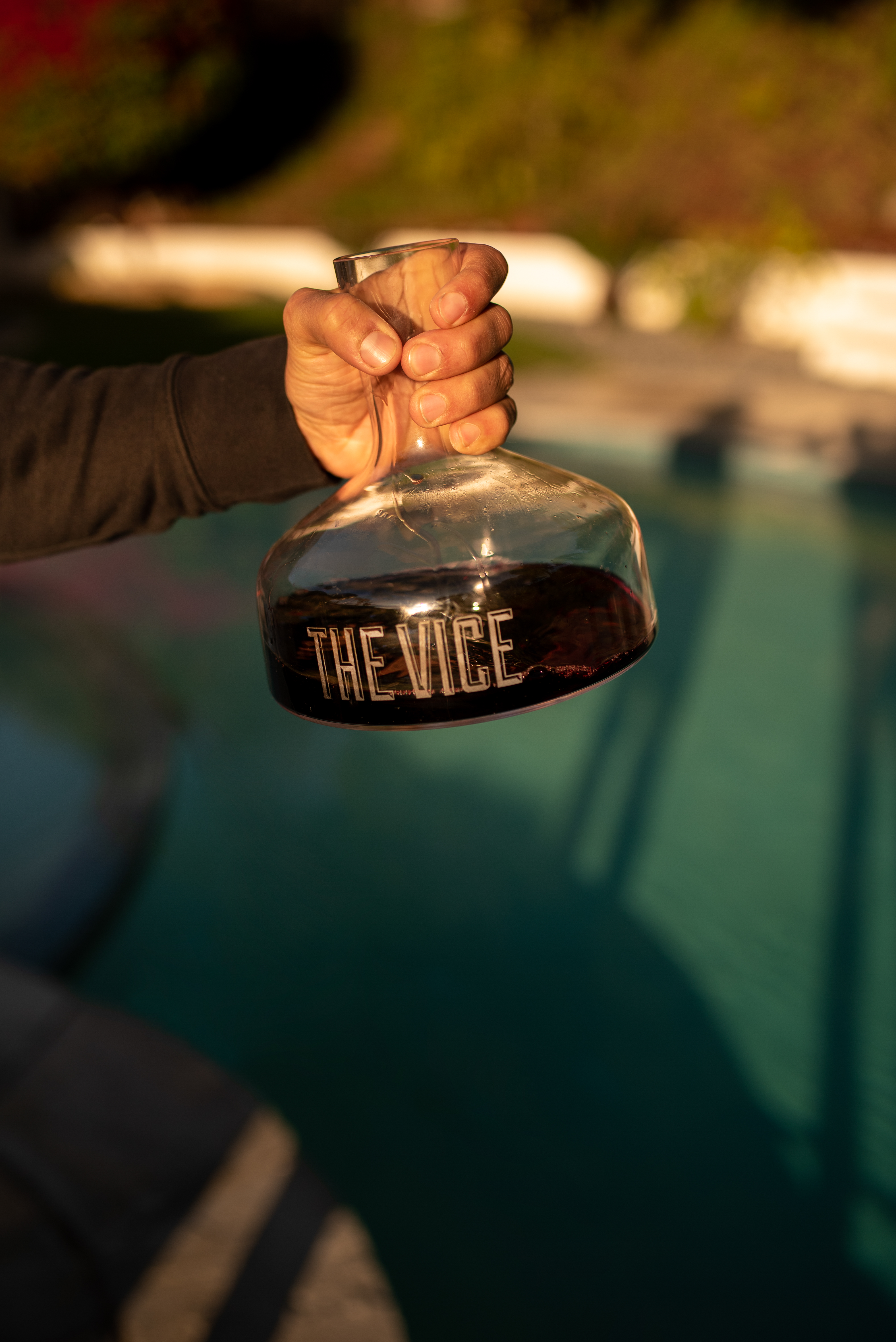 The Vice